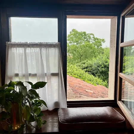 Apartment Casa Palpito